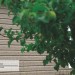 Сайдинг Ю-Пласт TIMBERBLOCK Пихта (Тимберблок) Cахалинская купить в Угличе