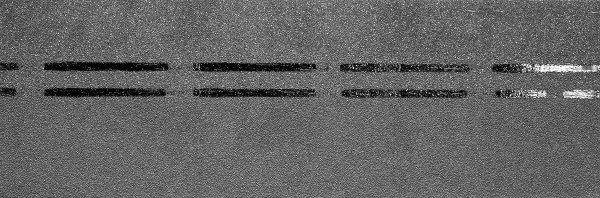 Коньково-карнизная черепица Docke Premium, черника купить в Угличе